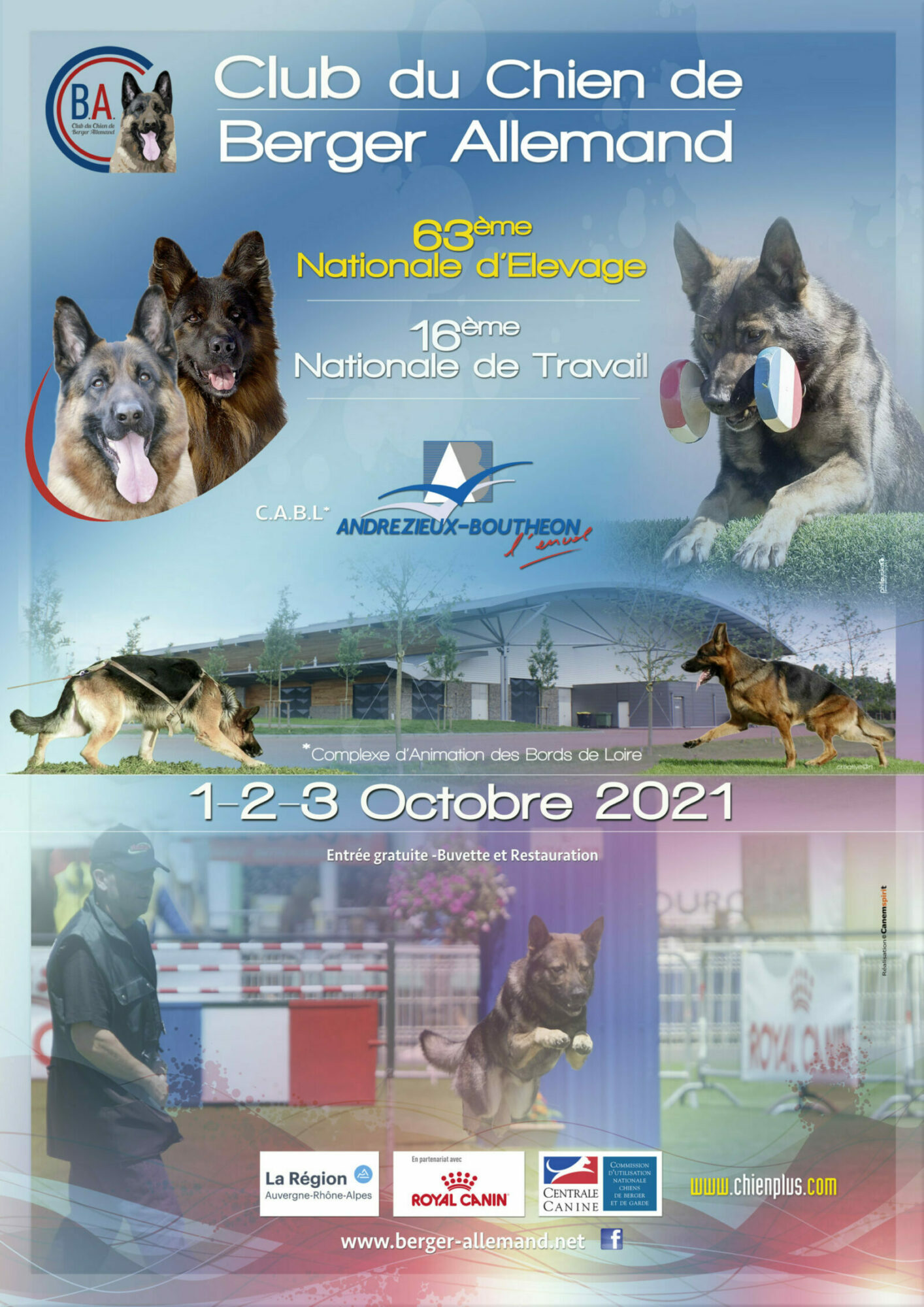 Club du chien de Berger Allemand Affiche_Club Berger allemand